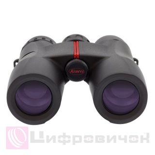 Kowa SV 10x32 WP