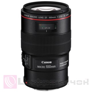 Canon EF 100mm f 2.8 L Macro IS USM