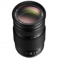 Panasonic 100-300mm f/4-5.6 ASPH OIS