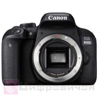 Canon EOS 800D Body