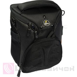 ����� Fancier Kingkong II 10