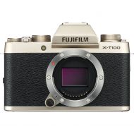 Fujifilm X-T100 Body Gold