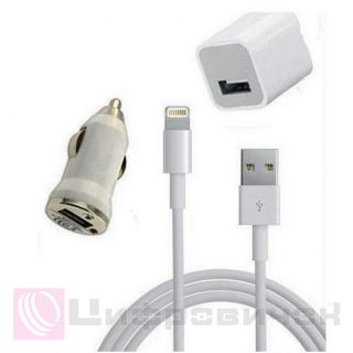 PowerPlant USB - Lightning 12V+220V+kab, 1A