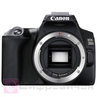 Canon EOS 250D Body Black