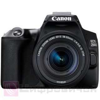 Canon EOS 250D Kit (18-55 IS STM) Black