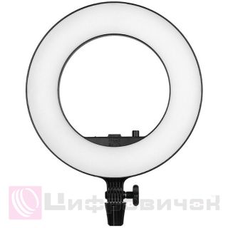 ʳ������ ����� Godox Ring Light LR180 LED
