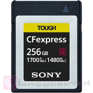 Sony CFexpress Type B 256GB R1700/W1480