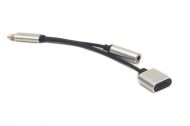 ������-���������� PowerPlant Lightning 2 � 1, AuPio 3.5 �� - Lightning