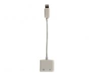 ���������� PowerPlant Lightning 2 � 1, AuPio 3.5 �� - Lightning