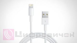������ PowerPlant USB - Lightning (iPhone 5, 5S, 6), 1m