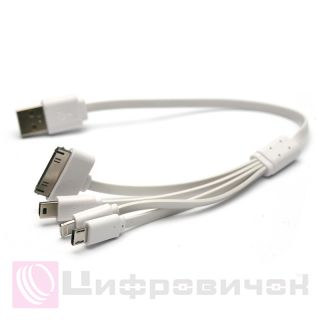 ������ PowerPlant ������������� USB 2.0 AM - Mini, Micro, Lightning, I-PoP, 0.3�