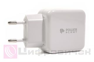 ��������� �������� ������� PowerPlant W-250 USB QC 3.0: 220V, 3A