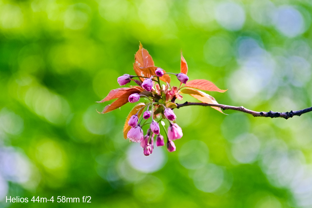 Helios 44m-4 58mm f/2