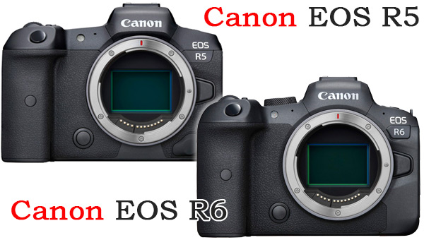 Canon EOS R5, Canon EOS R6