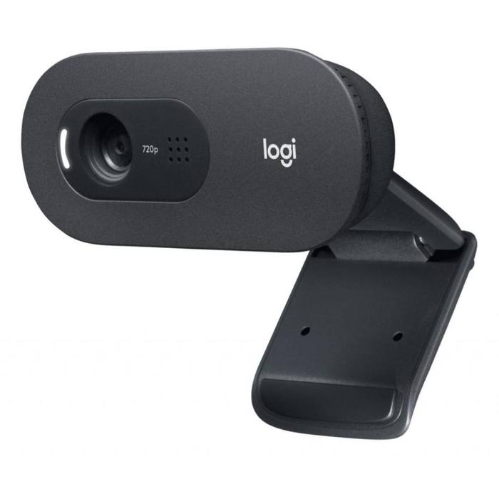 ���-������ Logitech C505 HD Black (960-001364)
