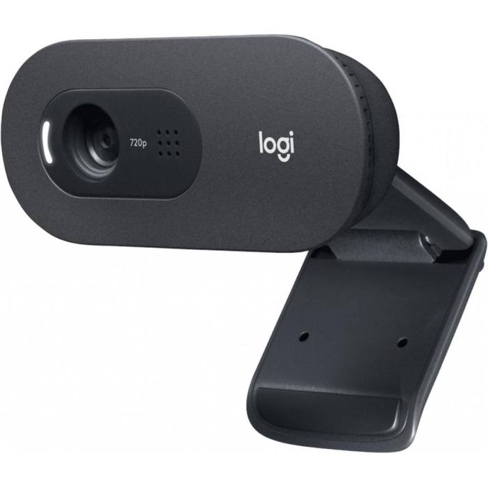 ���-������ Logitech C505e HD (960-001372)