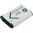 PowerPlant Sony NP-BX1