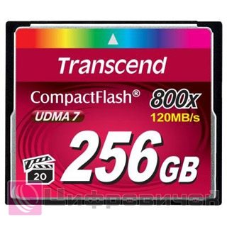 Transcend 256 Gb 800x CompactFlash Card