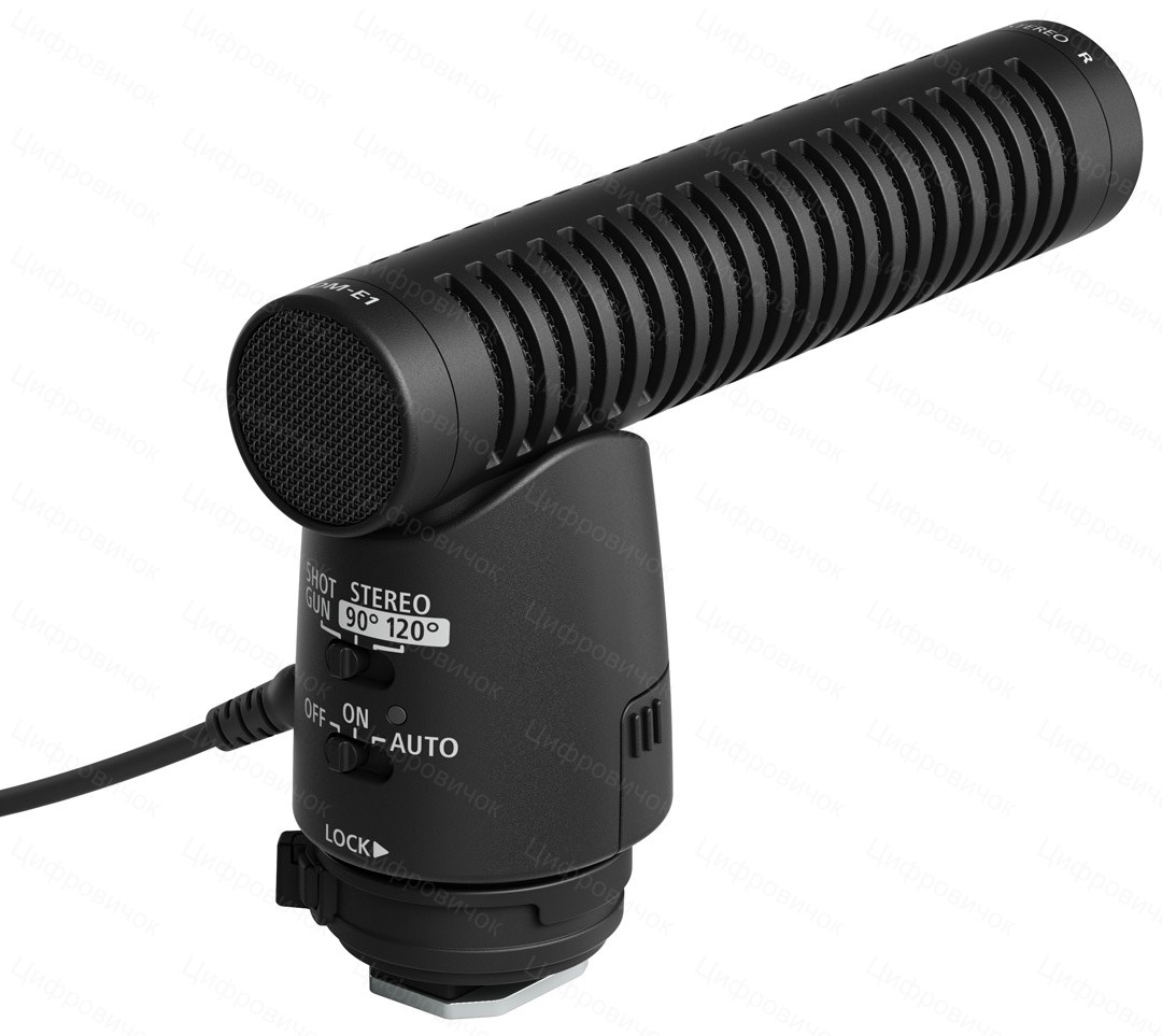 ̳������ Canon