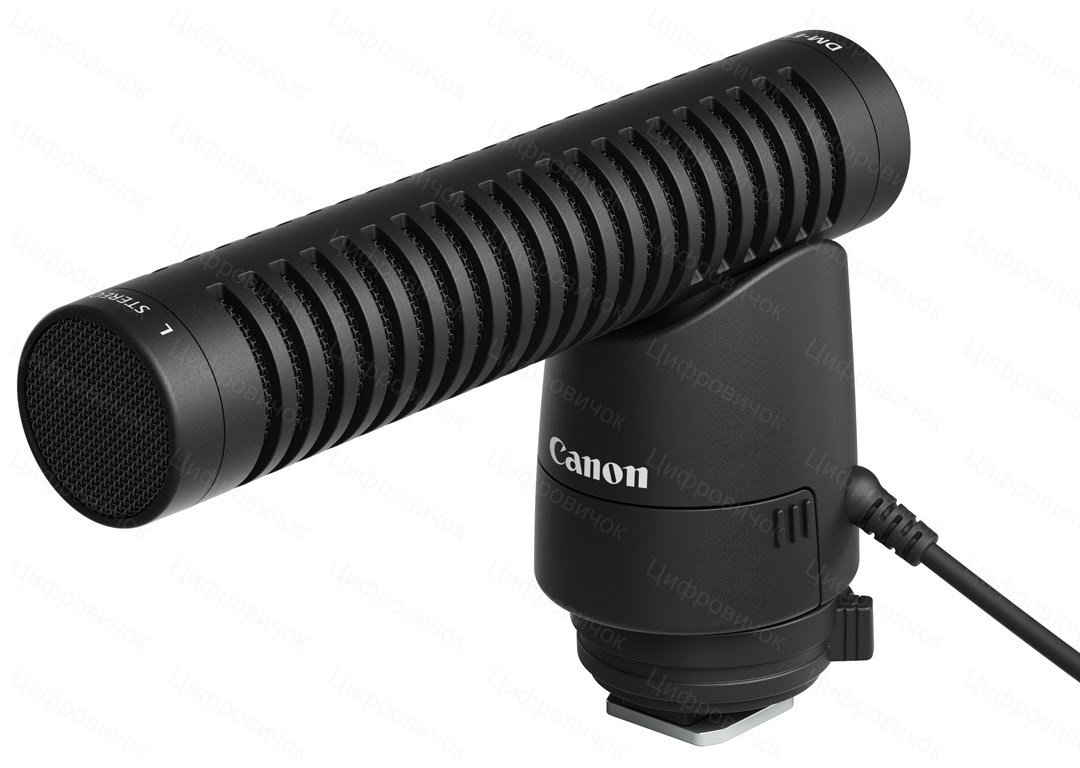 ̳������ Canon