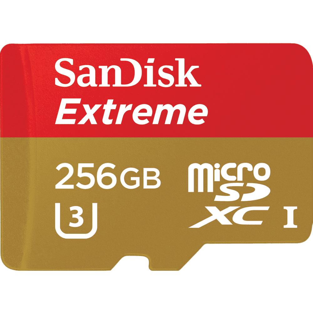 SanDisk 256 Gb logo cyfrovychok