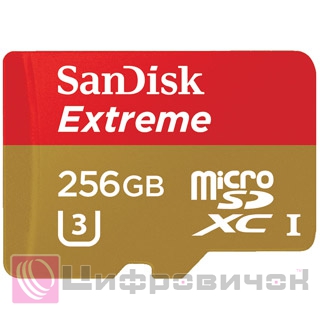 SanDisk 256 Gb microSDXC UHS-I Extreme U3 4K