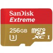 SanDisk 256 Gb microSDXC UHS-I Extreme U3 4K