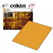 Cokin P047 Gold
